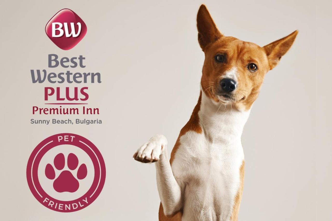 Best Western Plus Premium Inn Sunny Beach Buitenkant foto